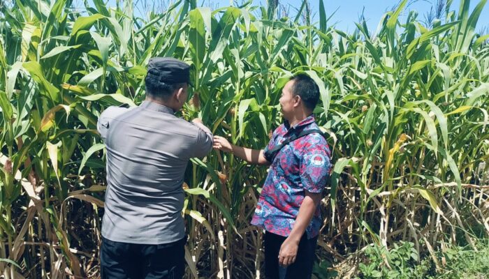 Dukung Petani Optimalisasi Lahan