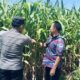 Dukung Petani Optimalisasi Lahan
