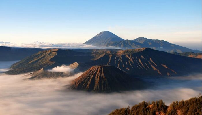 Liburan Sekolah Bingung Kemana? 10 Rekomendasi Destinasi Wisata Jawa Timur Populer yang Wajib Dikunjungi