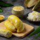 Tips Merawat Pohon Durian agar Cepat Berbuah, Panduan Lengkap untuk Hasil Panen Maksimal