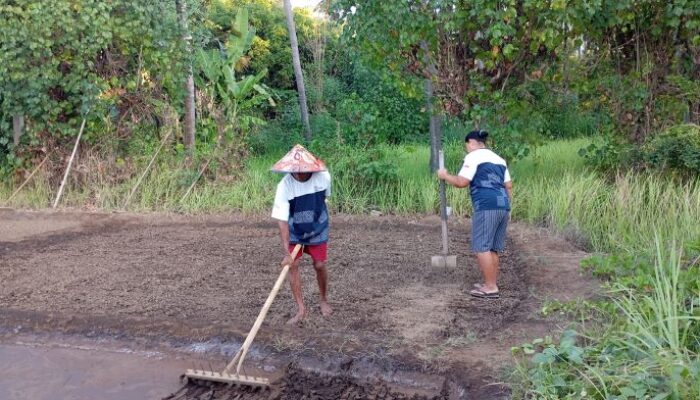 Desa Sejahtera Astra Les Bali Buktikan Pelestarian Alam dan Budaya Mampu Tingkatkan Kesejahteraan Warga