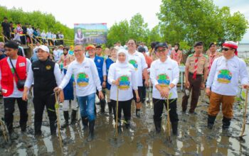 Peringati Hari Mangrove Sedunia 2026