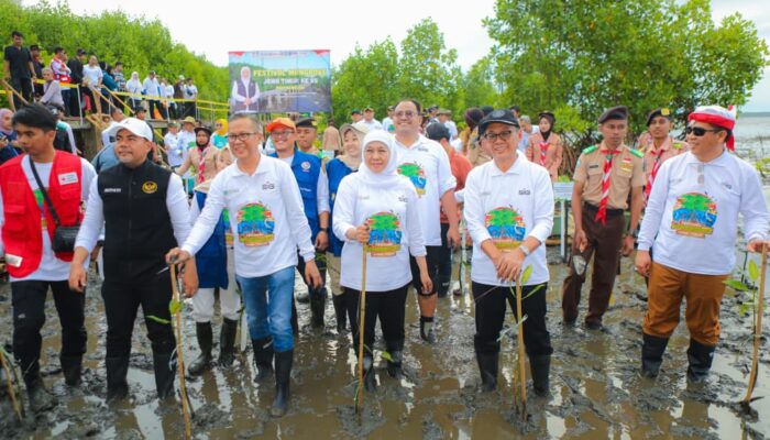 Peringati Hari Mangrove Sedunia 2026, Gubernur Khofifah Ajakan Masifkan Tanam dan Rawat Mangrove demi Generasi Mendatang