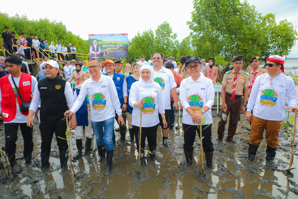 Peringati Hari Mangrove Sedunia 2026