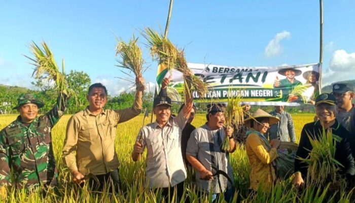 Plt Bupati Tulungagung Hadiri Upacara Adat Methik Pari di Kalidawir