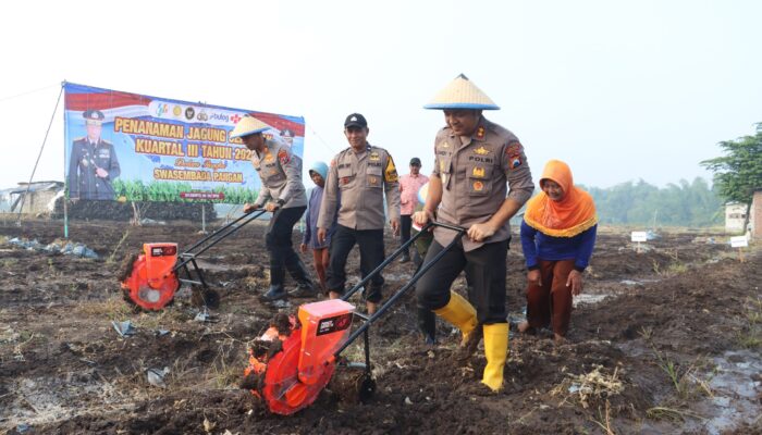 Dukung Ketahanan Pangan Nasional, Polres Mojokerto Tanam Jagung di Lahan 6 Hektare