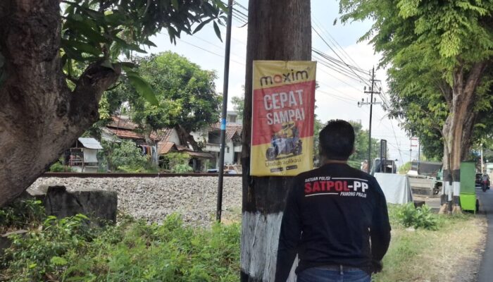 Rusak Estetika, Satpol PP Tulungagung Copot Reklame Liar