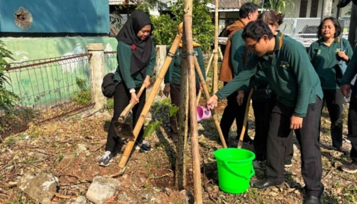 Jakarta Barat Perbanyak Ruang Terbuka Hijau, Tabebuya Pink Ditanam di Lahan Aset Pemprov DKI