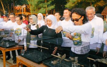 Festival Mangrove Jatim