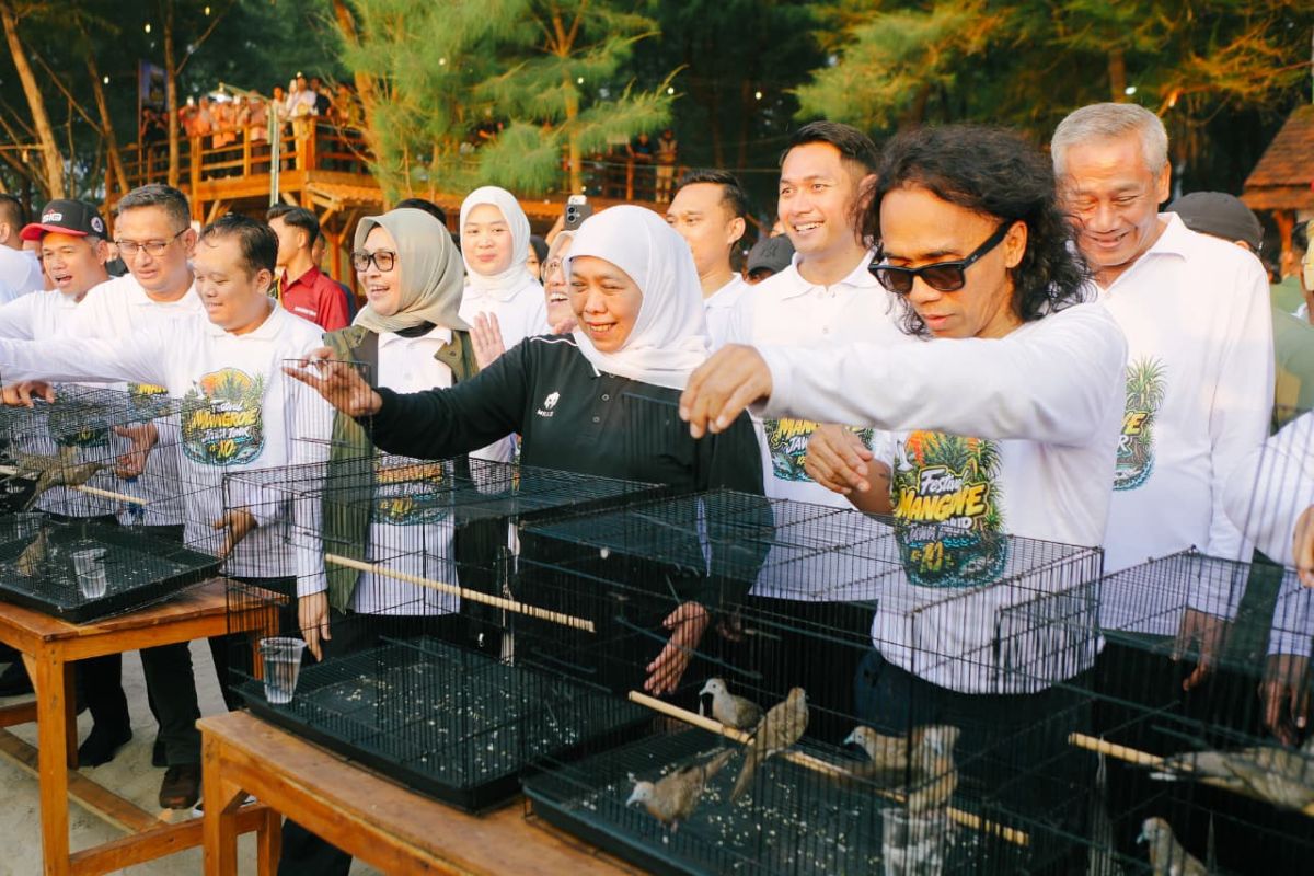 Festival Mangrove Jatim