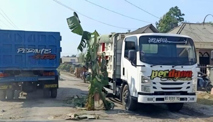 Janji Perbaikan Jalan Diingkari, Warga Garum Blitar Tanam Pohon Pisang