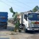 Janji Perbaikan Jalan Diingkari, Warga Garum Blitar Tanam Pohon Pisang