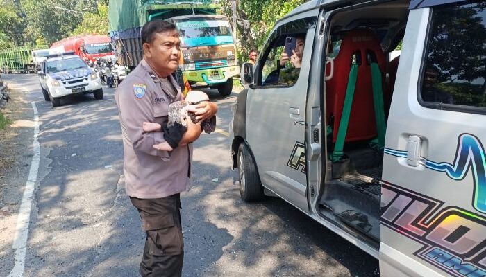 Aksi Heroik Bhabinkamtibmas Polsek Bagor Selamatkan Balita Korban Kecelakaan Bus Sugeng Rahayu di Nganjuk Tuai Pujian