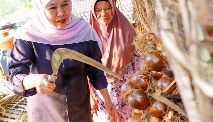 Khofifah Dorong Pengembangan Salak Madu Wonoagung