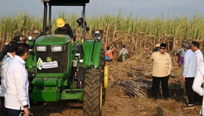 Panen Tebu Nasional Tandai Era Baru Gula dan Bioetanol