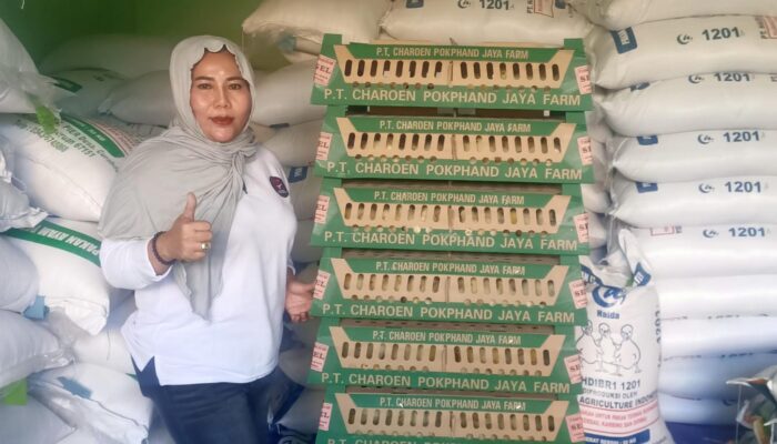 Ketua KPSI Nganjuk Bagikan 20 Ribu Bibit Ayam untuk Anggota