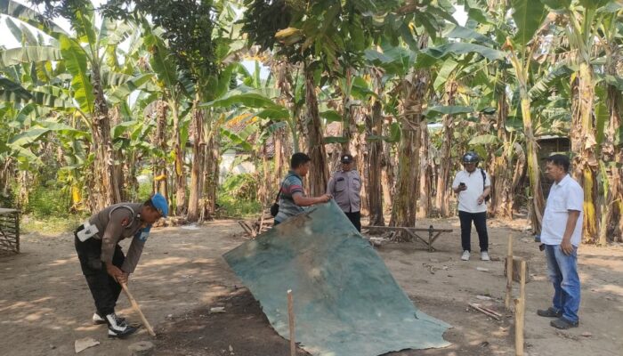 Polsek Pungging Bongkar dan Bakar Arena Judi Sabung Ayam di Mojokerto