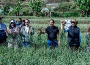 Satgas Pangan Polri Kembangkan 534 Hektare Bawang Putih di Sembalun, Perkuat Swasembada Pangan Nasional