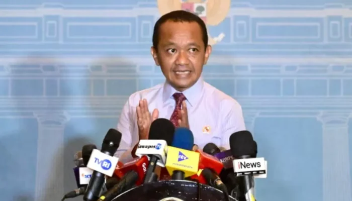 Pemerintah Putuskan Tarif Listrik Tidak Naik hingga Kuartal III 2026