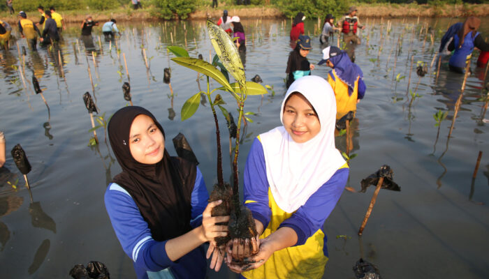 BRIDA Surabaya Targetkan 100 Jenis Mangrove