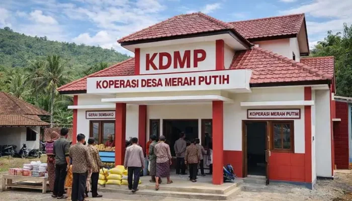 Gaji Pegawai Koperasi Merah Putih Sesuai Pendapatan