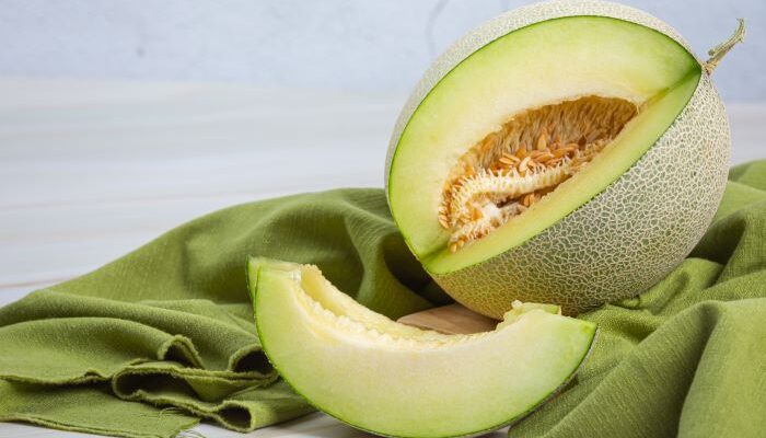 Tips Budidaya Melon untuk Pemula, Panduan Lengkap agar Panen Manis dan Melimpah