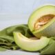 Tips Budidaya Melon untuk Pemula, Panduan Lengkap agar Panen Manis dan Melimpah