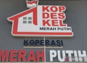 Koperasi Merah Putih di Kabupaten Kudus yang disiapkan menjadi percontohan operasional.