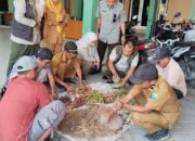 Petani Dilatih Kendalikan Penyakit