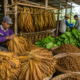 Inovasi Produk Warnai Persaingan Industri Rokok di Tengah Regulasi Ketat