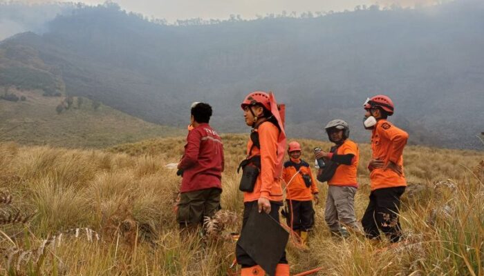 Kebakaran Bromo Merembet di Savana