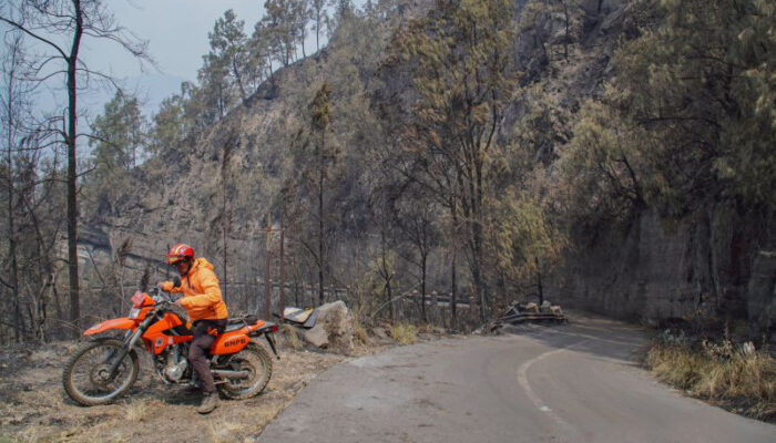 Delapan Hari Karhutla Bromo Tak Kunjung Padam: Pemprov Jatim Tambah Helikopter Water Bombing dan Ketatkan Aturan Wisata