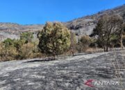 2.056 Wisatawan Minta Refund Tiket Bromo