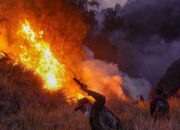Ancaman Kemarau Ekstrem, BMKG Ingatkan Jatim Waspada El Nino hingga Awal 2027