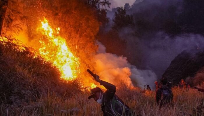 Ancaman Kemarau Ekstrem, BMKG Ingatkan Jatim Waspada El Nino hingga Awal 2027