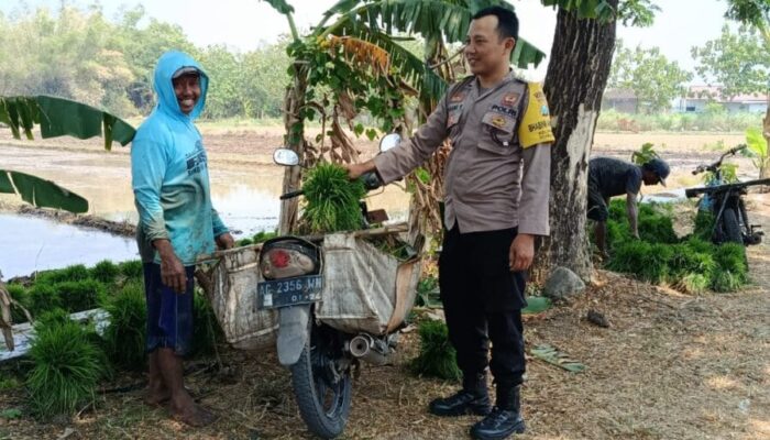 Perkuat Ketahanan Pangan, Bhabinkamtibmas Polsek Nganjuk Kota Turun Dampingi Petani
