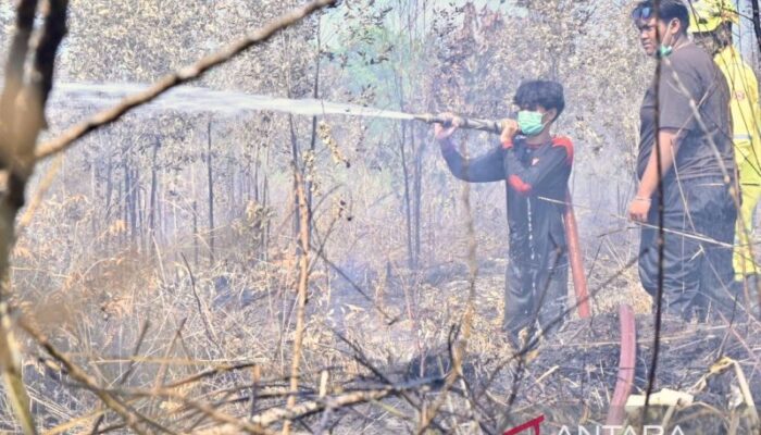 Arjuno Terbakar 146,85 Hektare