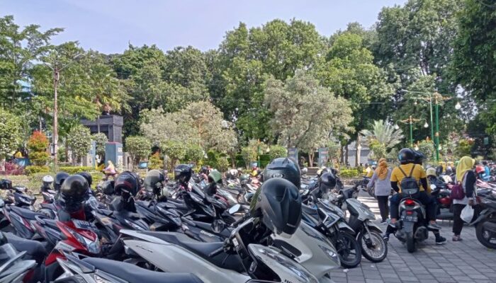 Dishub Bantul: Jasa Parkir Tanpa Karcis Resmi Dipastikan Ilegal