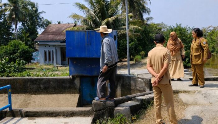 Dispertan Cilacap Optimalkan Pompanisasi, Antisipasi Kekeringan 1.121 Hektare Sawah