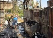 Dua Minggu Tutup, Kafe Alam Teduh Pacet Ludes Terbakar