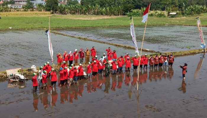 Tanam Padi Serentak, Probolinggo Jaga Stok Beras