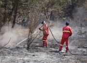 Cegah Api Susulan, Bromo Masih Tahap Pendinginan