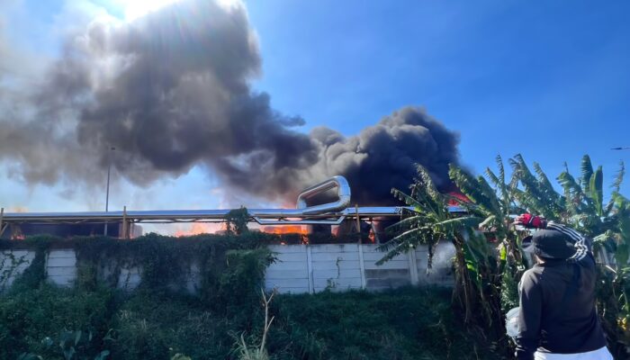 Lahan Tebu Dibakar, Pabrik Tisu PT Sun Paper di Ngoro Mojokerto Ikut Dilalap Api