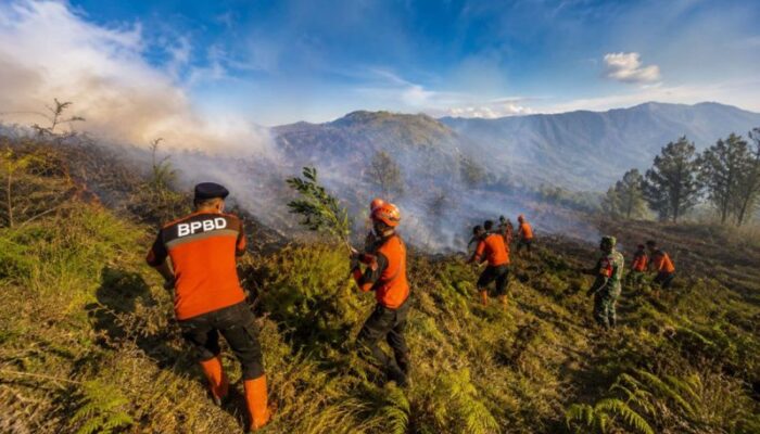 Bromo Ditutup Total
