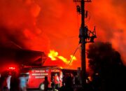 Kebakaran Lahap Kandang Ayam dan Dua Rumah di Mojokerto, Listrik Sempat Padam
