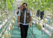 Hadiri Panen Raya Melon Hidroponik Puspenerbal, Mas Handy Apresiasi Inovasi Ketahanan Pangan