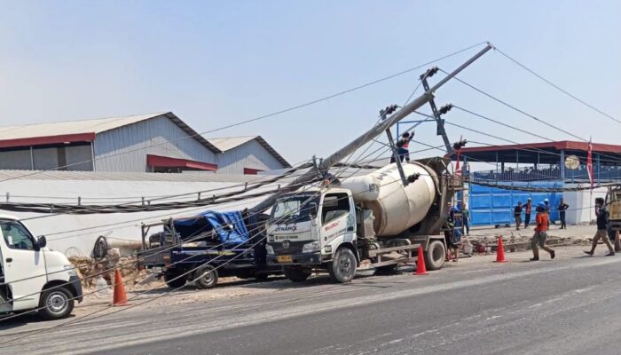 Pohon Tumbang Robohkan 10 Tiang Listrik di Manyar