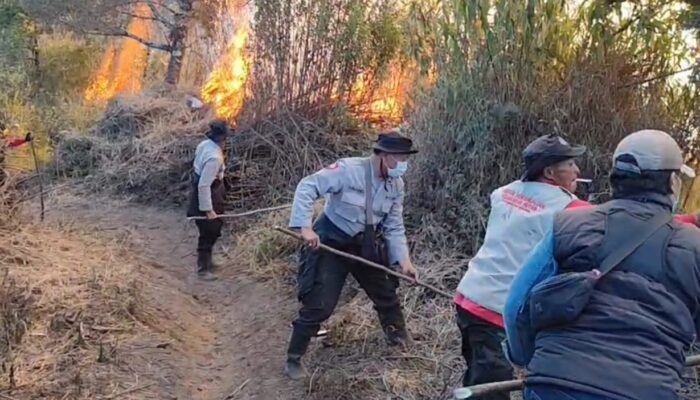 Polres Lumajang Perkuat Sekat Bakar, Cegah Karhutla TNBTS Meluas