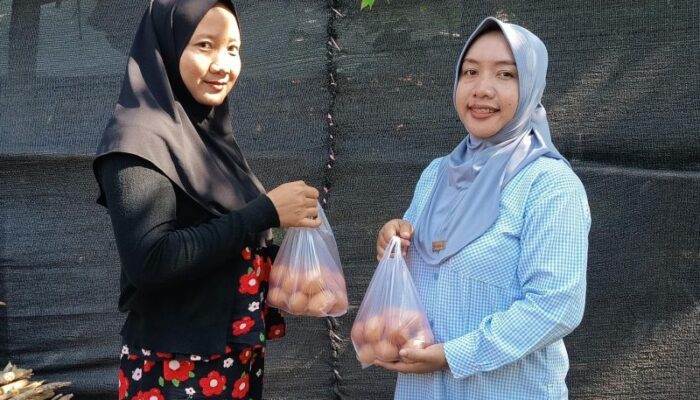 GAYATRI Berjalan, KPM Keluhkan Mahalnya Pakan Ayam, Pemkab Bojonegoro Diminta Perkuat Pendampingan dan Akses Pakan