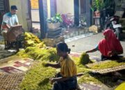 Harga Tembakau Rajangan Kedungadem Tembus Rp40.000 per Kg, DKPP Bojonegoro Siapkan 112 Mesin